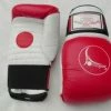 Serious Fitness COACH SPAR MITTS
