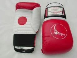 Serious Fitness COACH SPAR MITTS