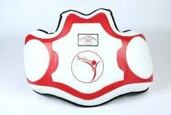 Serious Fitness ULTIMATE BIG BANG BODY PROTECTOR