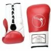 Serious Fitness Sparring/Training Gloves - Lace Up