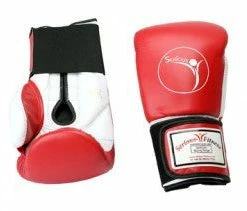 Serious Fitness Sparring/Training Gloves - Hook & Loop