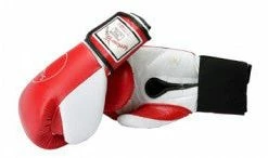 Serious Fitness Sparring/Training Gloves - Hook & Loop