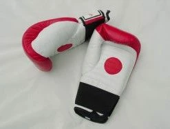 Serious Fitness COACH SPAR MITTS
