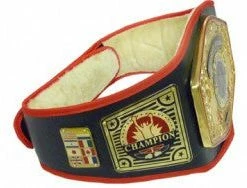 Serious Fitness UNIVERSE TITLE BELT - Various Colour Options