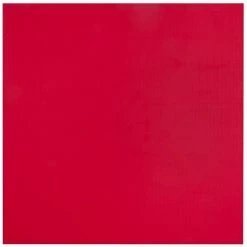 Serious Fitness 20mm Premium Tatami Jigsaw Mats Reversible Red And Blue 1m X 1m