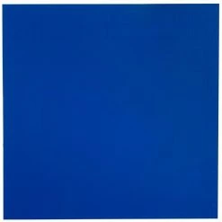 Serious Fitness 20mm Premium Tatami Jigsaw Mats Reversible Red And Blue 1m X 1m