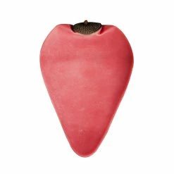 Cleto Reyes Speedball Bladder One Valve Punchbags