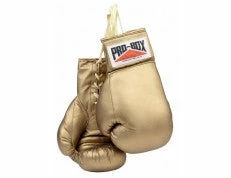Pro Box GOLDEN AUTOGRAPH GLOVES