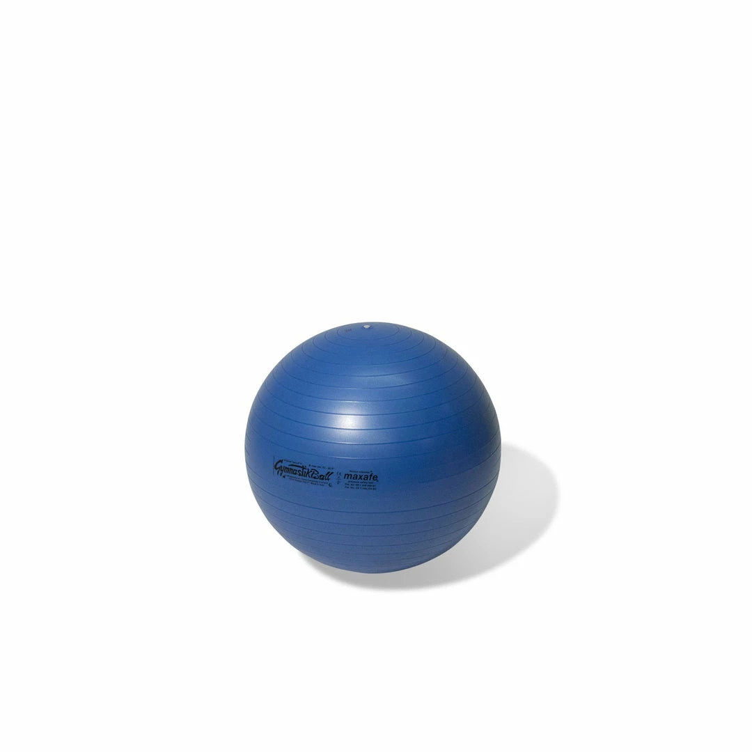 Physical Company Maxafe Core Stability Balls