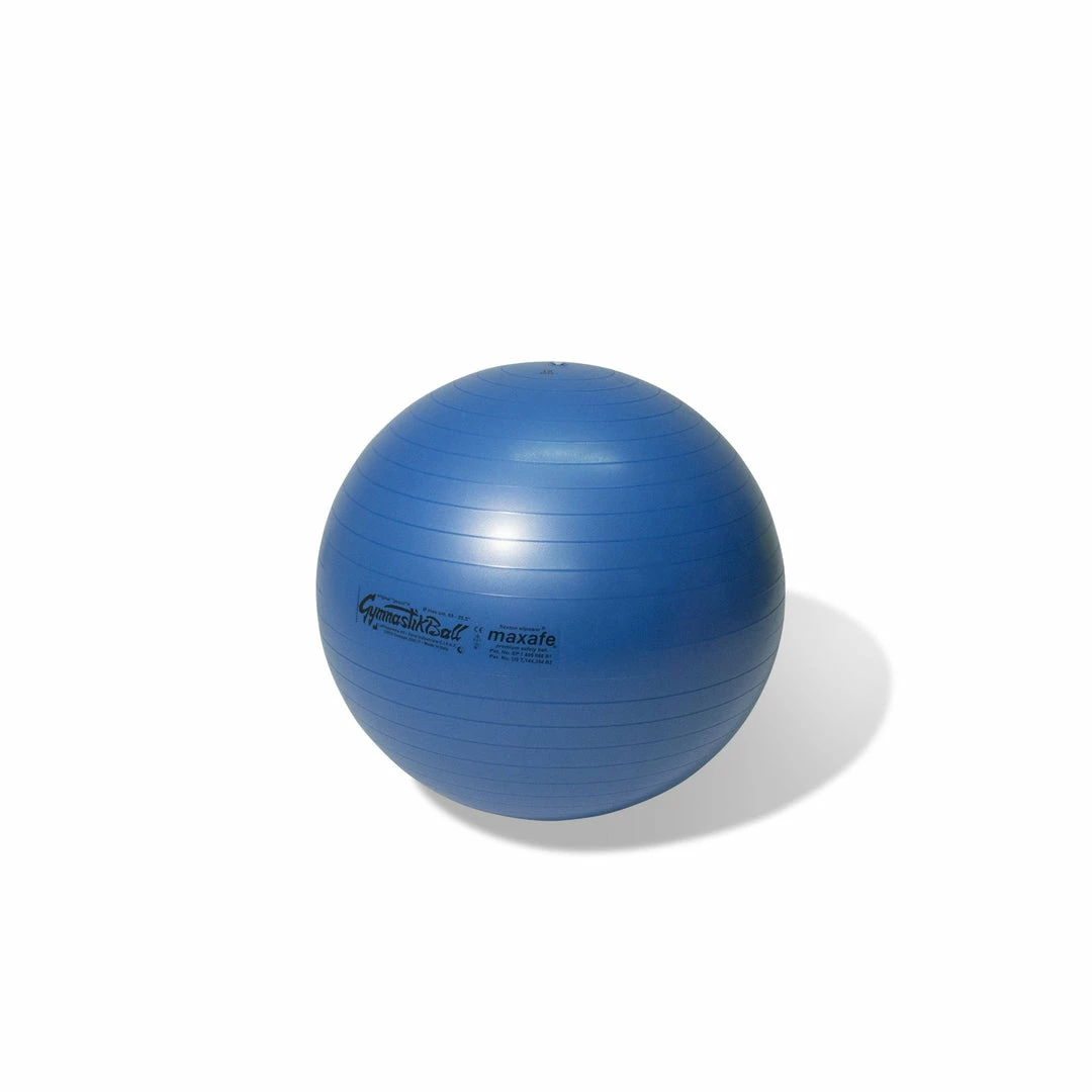 Physical Company Maxafe Core Stability Balls