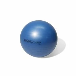 Physical Company Maxafe Core Stability Balls