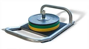 Physical Company Sled Dawg With Harness