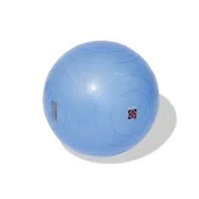 Physical Company BOSU Ballast Ball - 65cm