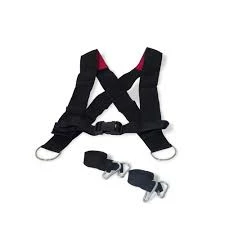 Physical Company Sled Dawg With Harness