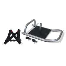 Physical Company Sled Dawg With Harness