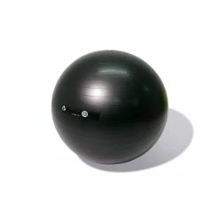 Physical Company Pro Stability Balls