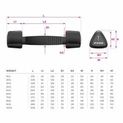 Physical Company Evo Bench - Various Options Available