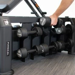 Physical Company Evo Bench - Various Options Available